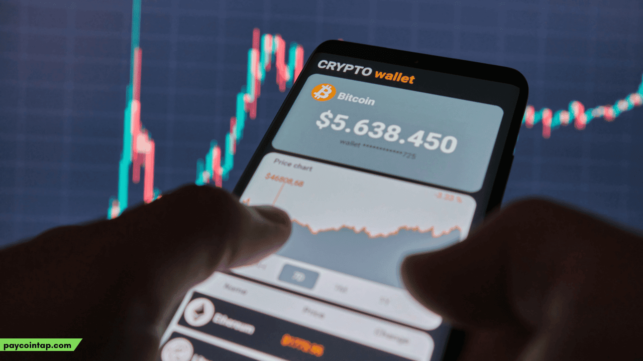 staking vs mining cryptocurrency